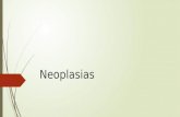 Generalidades de Neoplasias