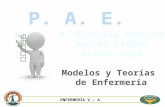 Presentación PAE Modelos y teorias