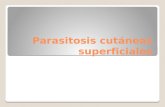 Parasitosis cutáneas superficiales (Escabiasis, Puliliacis. Cimiciasis, Larva Migrans)