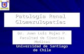 Patologia renal-glomerular