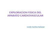 Exploracion fisica del aparato cardiovascular