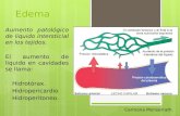 Patologia hemostasia