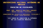 Histología renal