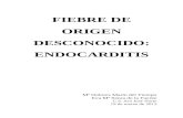 (2013-03-19) Fiebre de origen desconocido: Endocarditis (doc)
