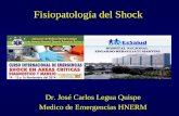 fisiopatologia shock