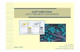 Daptomicina uso y riesgos asociados