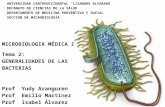 Mmi u1 t3   morfología  bacteriana. aranguren, yudy; martínez, emilio; álvarez, isabel 2014
