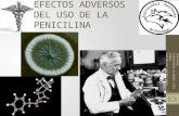 Efectos adversos en el  uso de la penicilina
