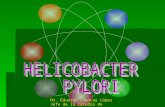 Helicobacter pylori 2ok ok