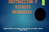 Obstrucción y estasis urinaria
