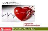 UVM Emergencias Médicas Básicas Sesión 08 Urgencias Cardiovasculares