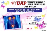 Farmacoterapia de las infecciones del tracto urinario