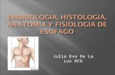20110413 embriologia histologia_anatomia_y_fisiologia_de  SIDEM