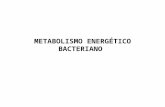 Metabolismo energetico-bacteriano