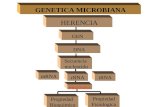 Generalidades sobre genetica microbiana