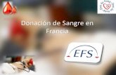 Donación en  francia