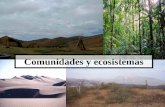 Comunidades ecosistemas web