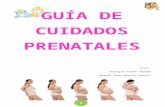 Guía de Cuidados Prenatales.
