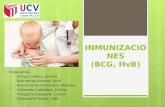 Inmunizaciones (bcg   hv b)