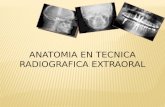 Anatomia en tecnica radiografica extraoral