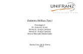 Diabetes Mellitus Tipo I - Bruno Marcatto Maldonado