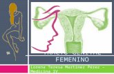 Patología Tracto genital femenino - Lorena Martínez