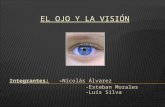 El ojo y la visión