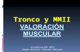 Valoración muscular 2