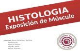 Presentación de histologia -  Tejido Muscular