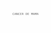 Cancer de mama power