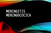 Meningitis meningococica
