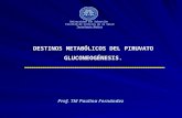 Clase 13 Destinos Del Piruvato Y Gluconeogenesis