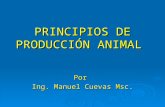 Principios producción animal2