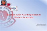 RCP (Reanimacion cardio-pulmonar)