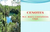 Los Cenotes de México