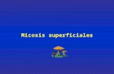 105286967.clase micosis superfciales 2011 1