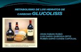 Expo glucolisis