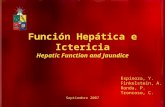 Funcion  Hepatica E  Ictericia