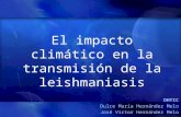 El impacto climático en la transmisión de la leishmaniasis