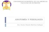 ANATOMIA Y FISIOLOGIA NOCTURNO: Introducción a la Anatomía y Fisiología