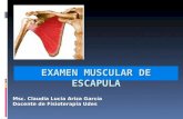 Examen muscular de esc   hombro