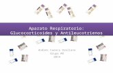 Farmacologia de aparato respiratorio glucocorticoides y antileucotrienos por andres cuenca