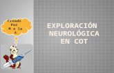 Exploración neurológica en cot1