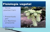 Fisiología vegetal-1 plantas cam