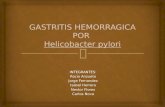 Gastritis hemorragica