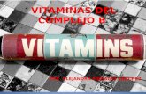 Vitaminas del complejo b