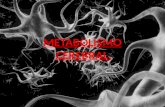 Metabolismo neuronal