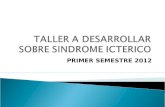 Taller sindrome icterico mayo 2012