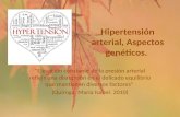 Hipertensión arterial, aspectos genéticos