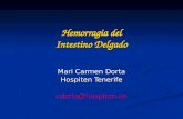 01 causas de_hemorragia_de_intestino_delgado_dra_dorta (1)